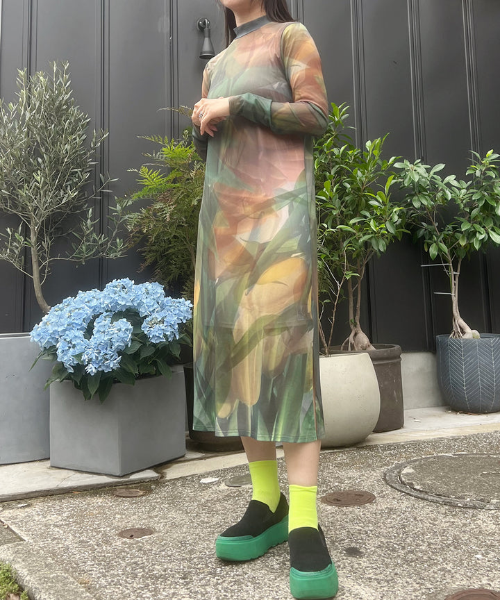 sheer flower print dress
