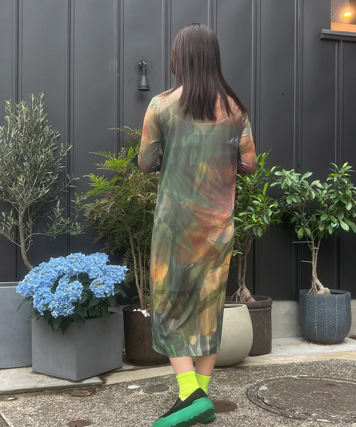 sheer flower print dress