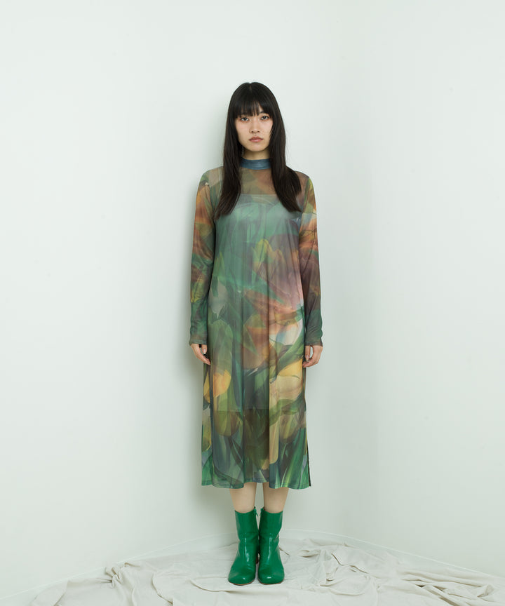 sheer flower print dress